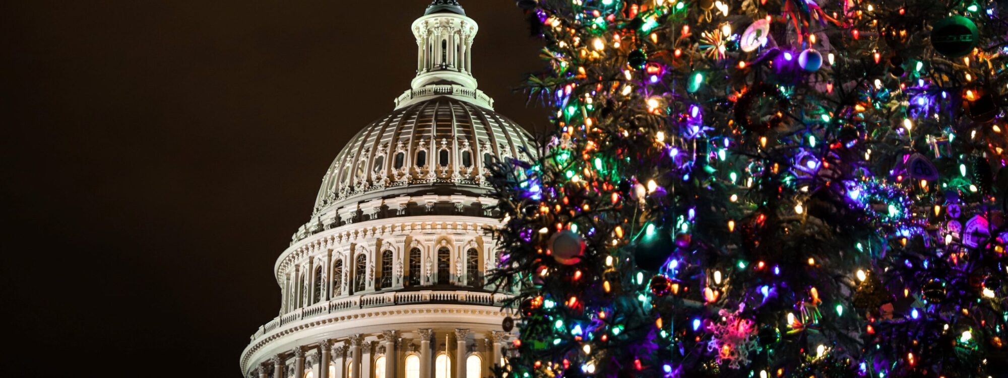 The People's Tree - Nation's Capital Washington DC