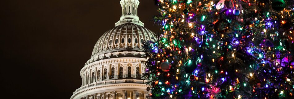 The People's Tree - Nation's Capital Washington DC