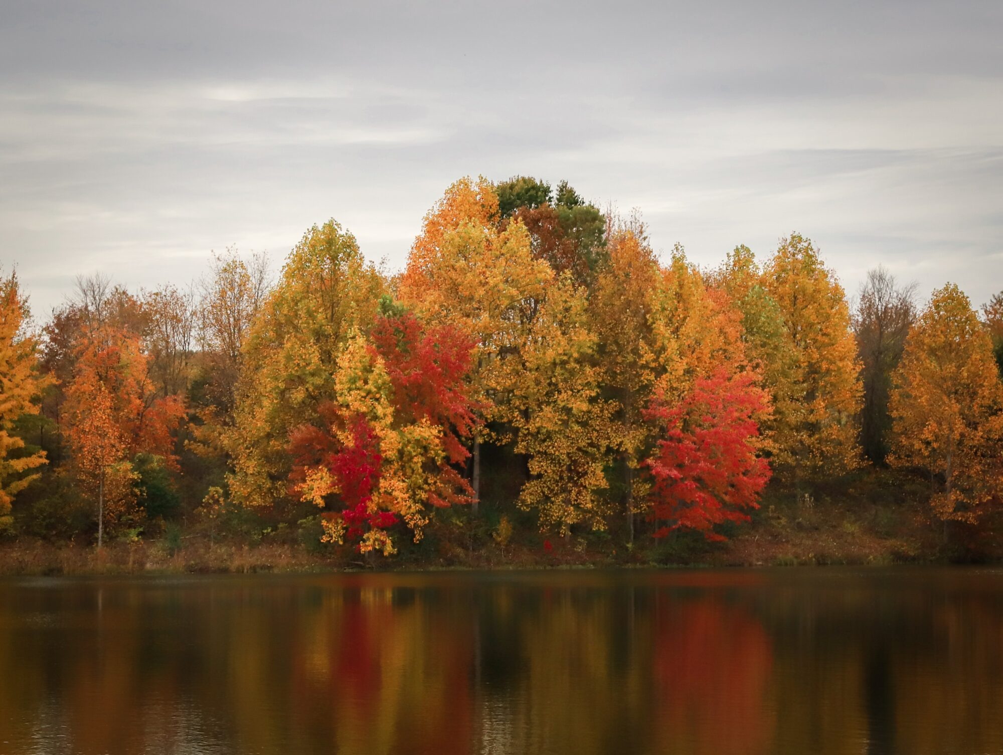 Fall Foliage Little Seneca Lake