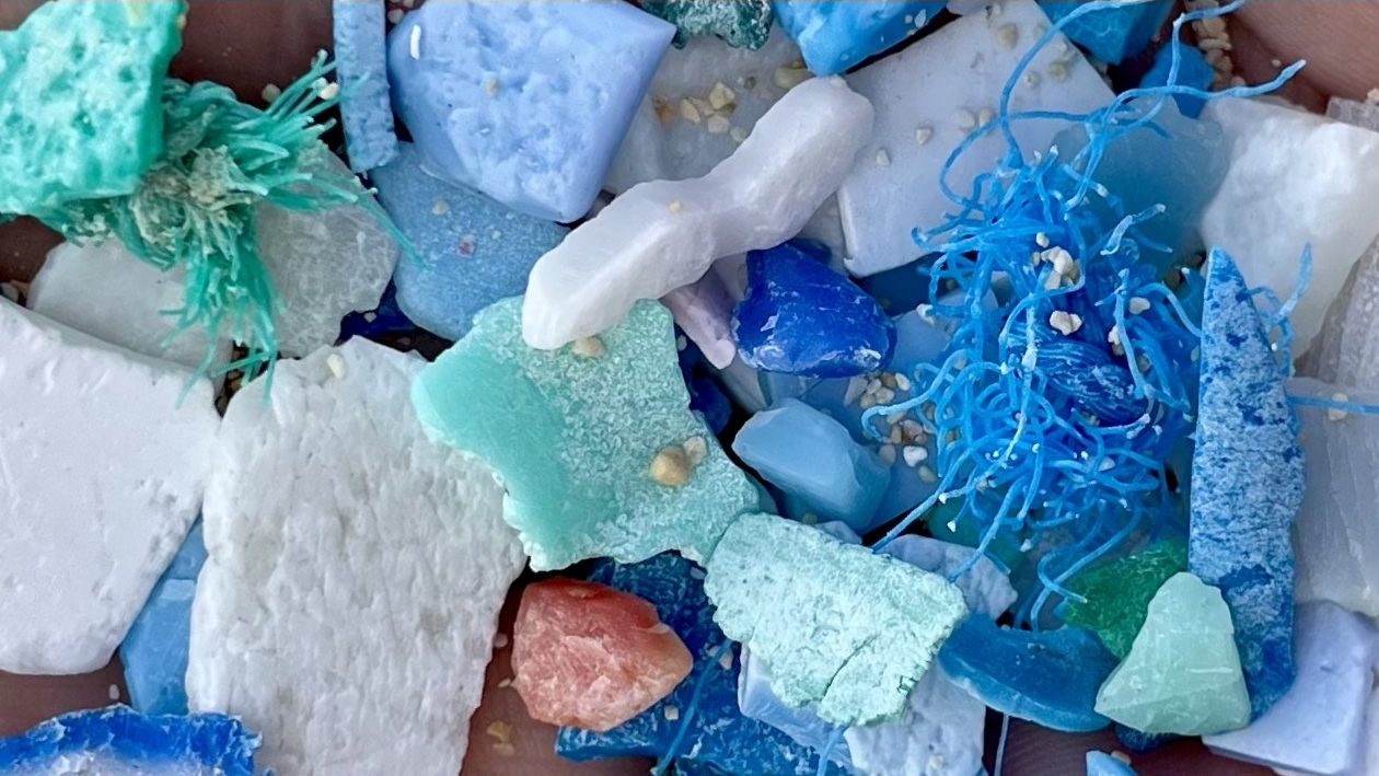microplastics collected from beach in Hawaii